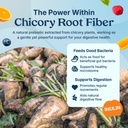 poop-like-a-champion-fiber-gummies-5g-fi-3.jpg