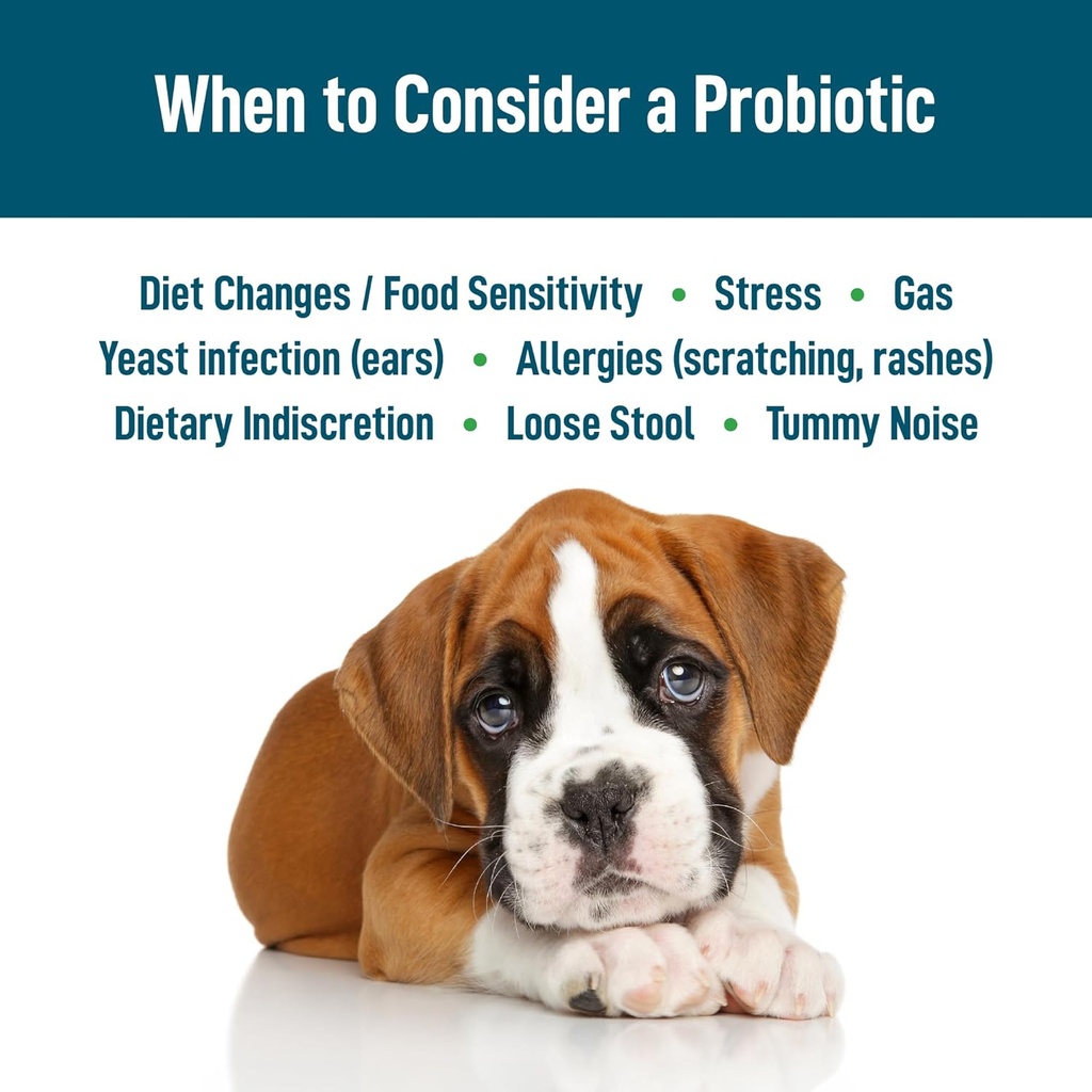probiotic-fiber-regularity-digestive-hea-4.jpg