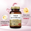 methyl-b-12-5000mcg-chewable-with-folate-2.jpg