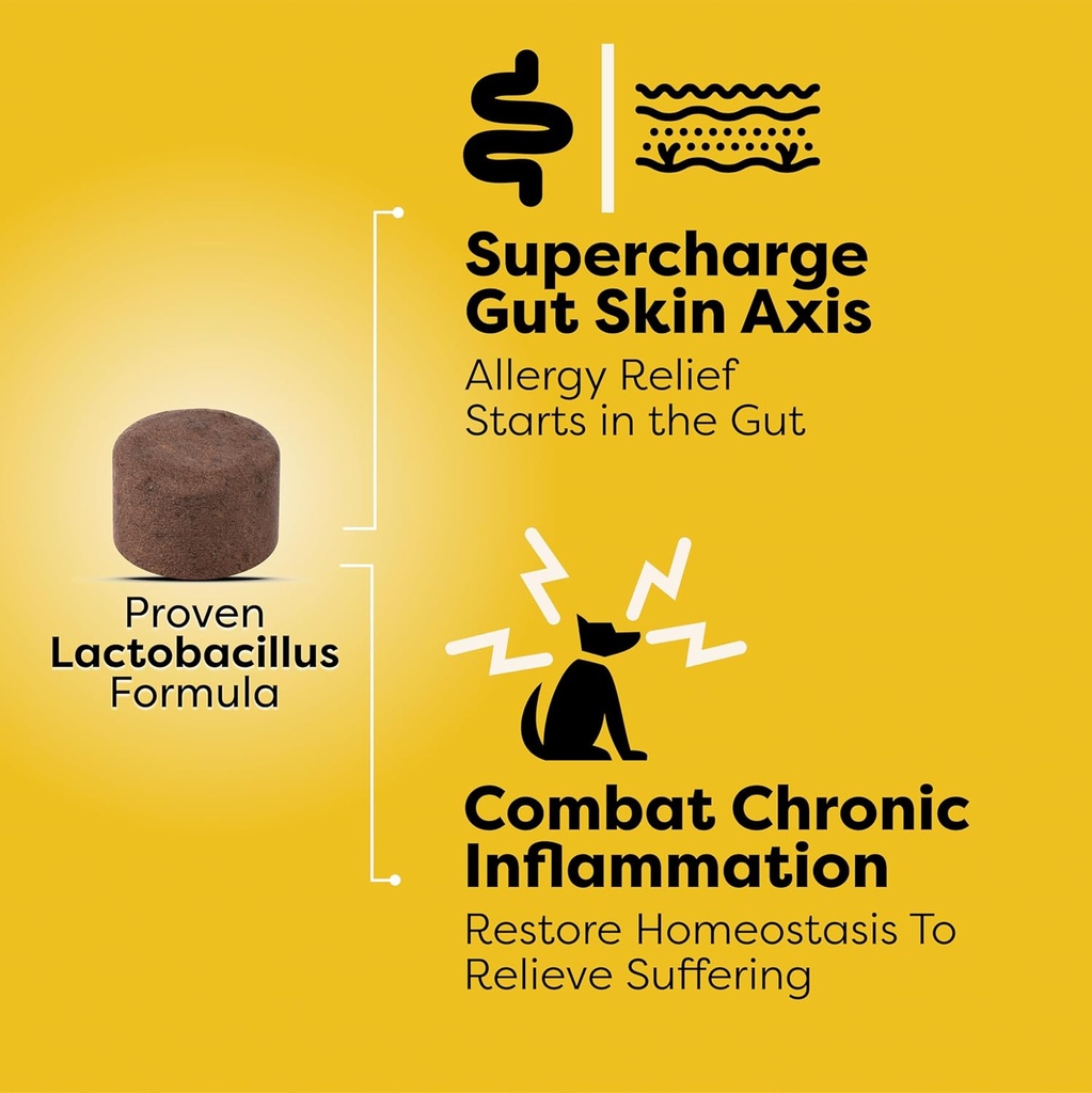 doc-itchy-allergy-armor-itch-recovery-pr-3.jpg
