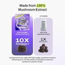 vybe-daily-nootropic-gummies-8-in-1-mush-2.jpg