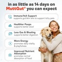 all-natural-3-in-1-dog-probiotic-prebiot-6.jpg