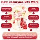 2-pack---sugar-free-coq10-filled-gummies-4.jpg