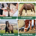 insulin-resistance-supplement-for-horses-4.jpg