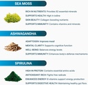 sea-moss-with-spirulina-and-ashwagandha--2.jpg