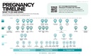 the-simplest-pregnancy-book-in-the-world-3.jpg
