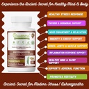 himalayan-shilajit-capsule-ashwagandha-c-4.jpg