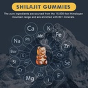 shilajit-gummies-1000mg-pure-himalayan-s-3.jpg