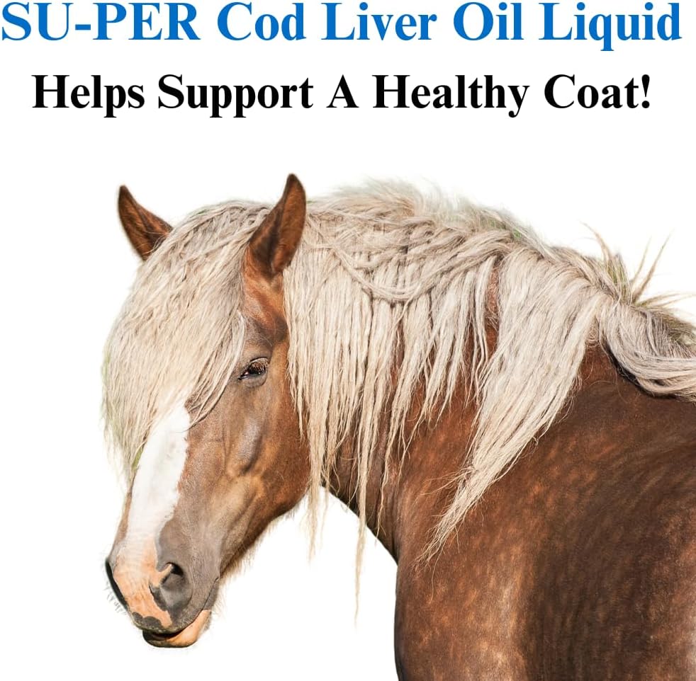 su-per-cod-liver-oil-for-horses---horse--3.jpg