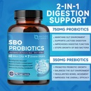 probiotics-for-women-men-digestive-healt-4.jpg