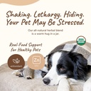 kinkind-healthy-calm-supplement-for-dogs-3.jpg