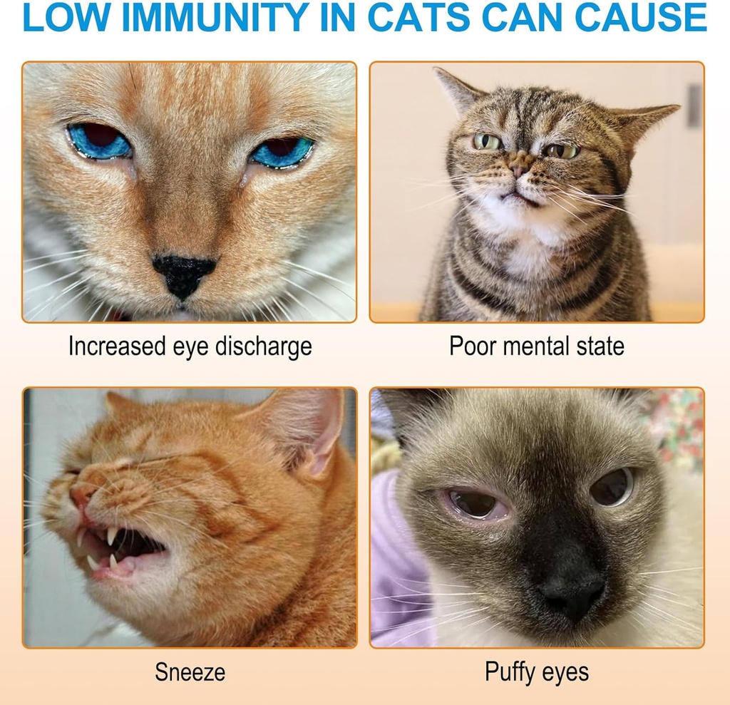 l-lysine-powder-for-cats-120g-lysine-pow-3.jpg