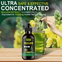 generic-mullein-drops-for-lungs-mullein--6.jpg