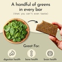 send-bars-plant-based-vegan-healthy-prot-5.jpg