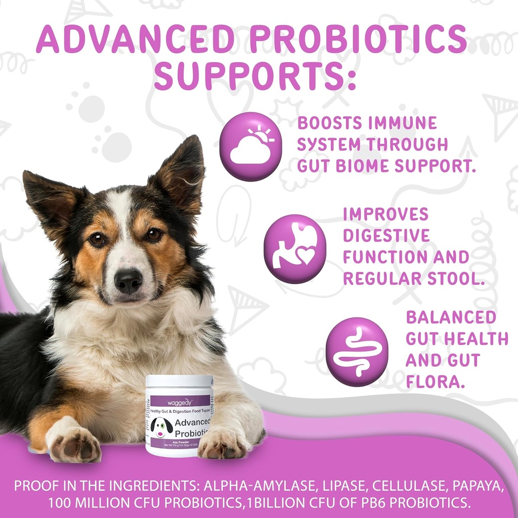 waggedy-advanced-probiotics-gut-digestio-2.jpg