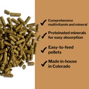 formula-707-daily-essentials-equine-supp-5.jpg
