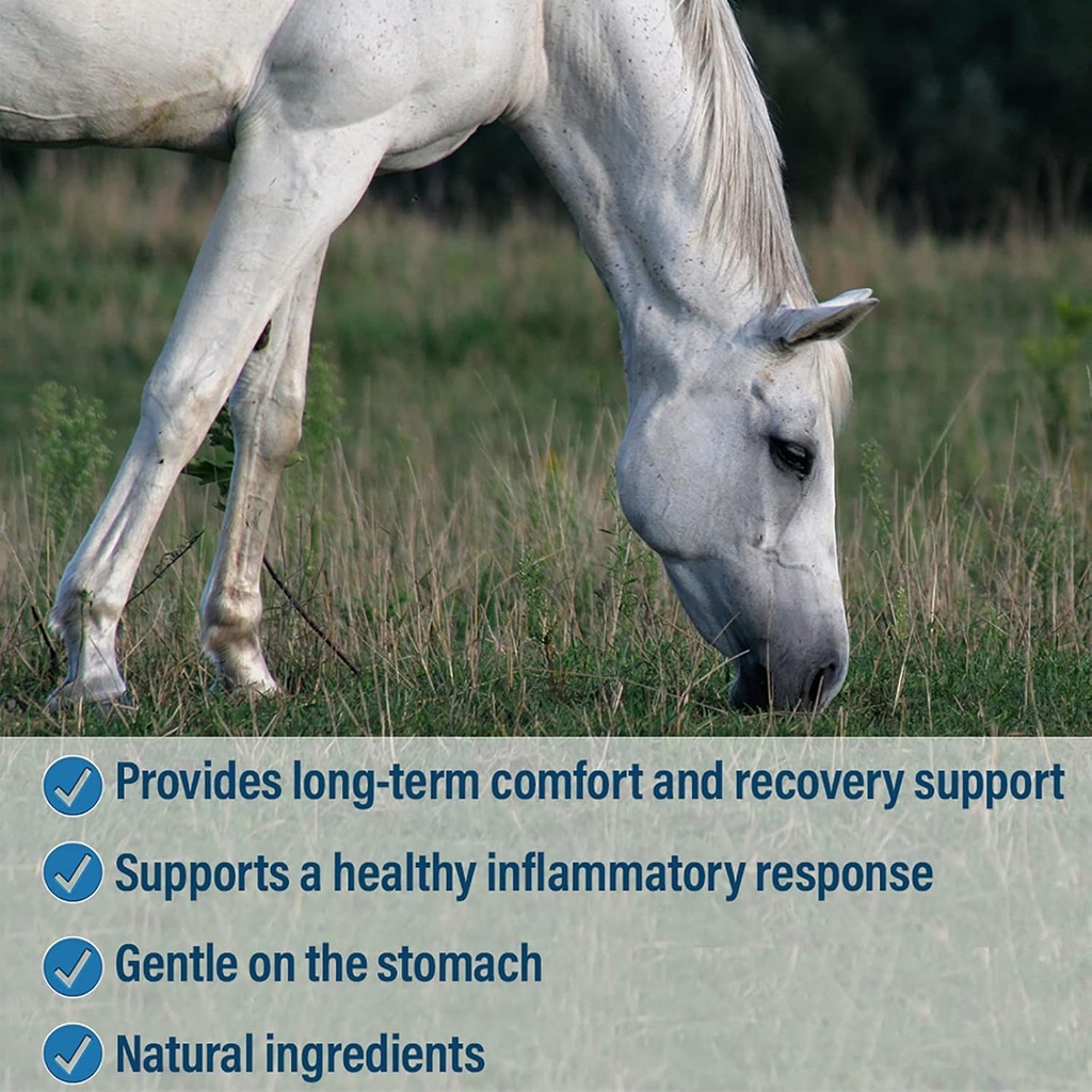 absorbine-bute-less-long-term-horse-comf-4.jpg