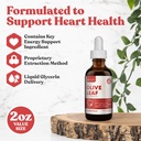 rejuvica-active-olive-leaf-extract-natur-6.jpg
