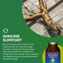 healthforce-superfoods-intestinal-moveme-6.jpg