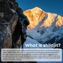 himalayan-pure-shilajit-sticks-with-orga-4.jpg