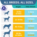probiotics-for-dogs-improve-itchy-skin-i-6.jpg