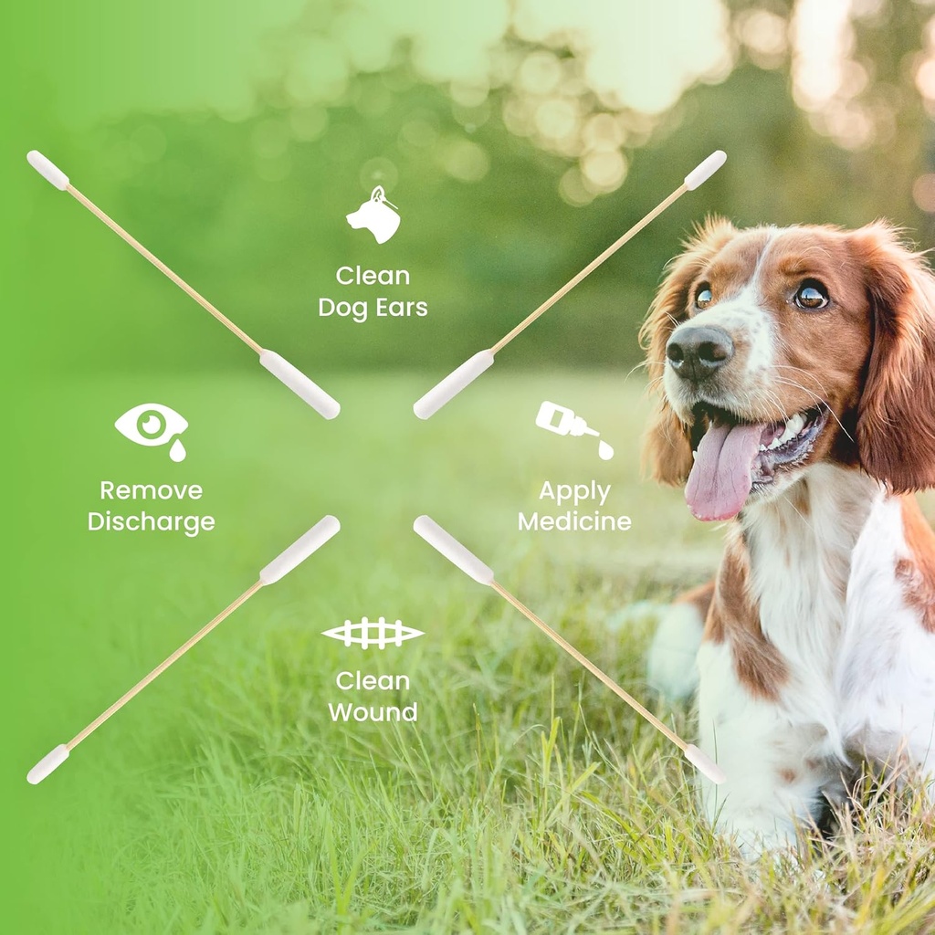 we-love-doodles-long-cotton-dog-ear-swab-2.jpg