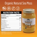 lizzey-100-organic-pineapple-flavored-se-5.jpg