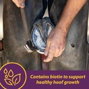 horse-health-vita-biotin-crumbles-horse--3.jpg