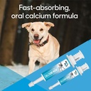 calcium-now---oral-calcium-for-whelping--4.jpg