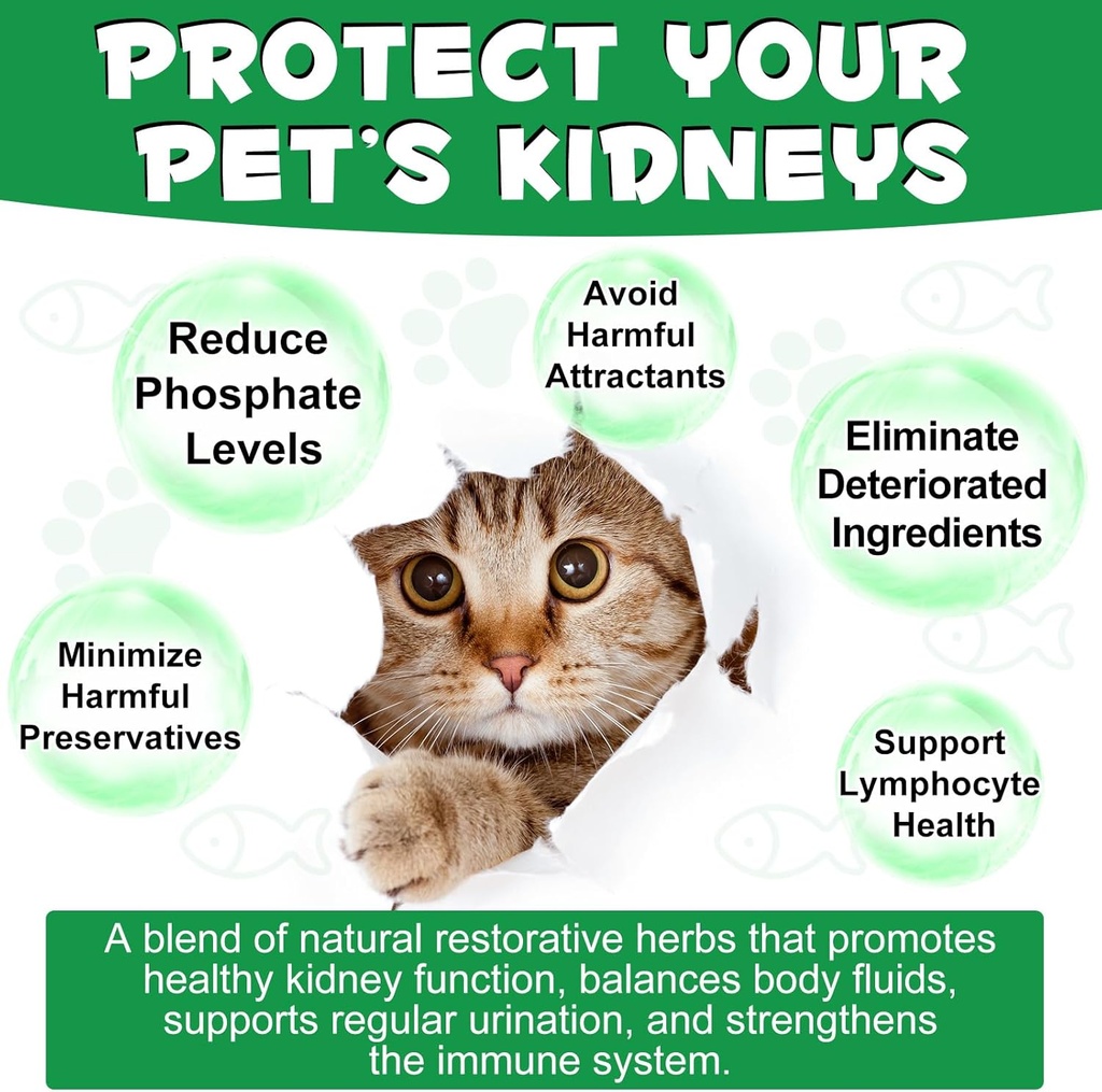 alivo-liver-support-for-cats-liver-and-k-3.jpg