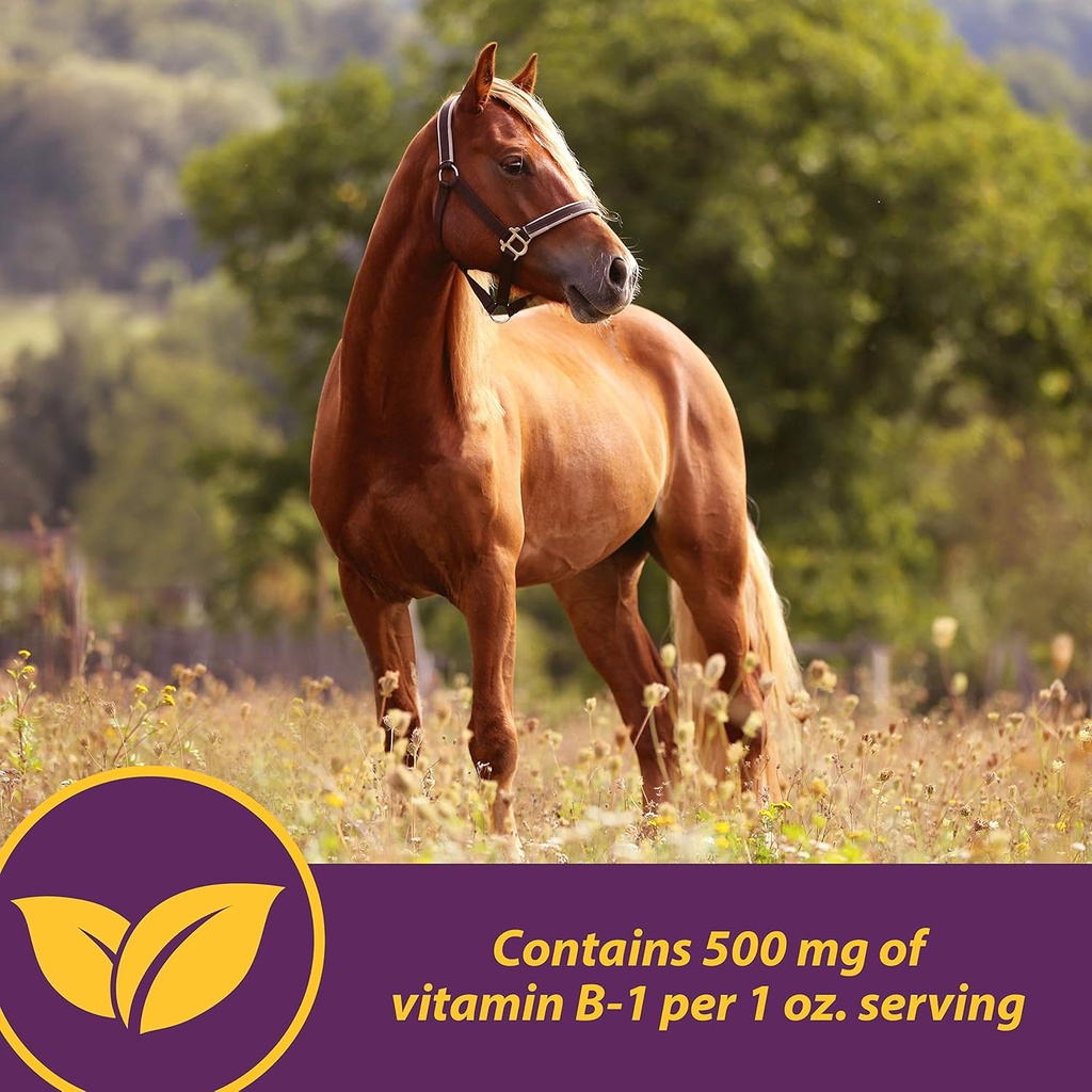 farnam-horse-health-vita-b-1-crumbles-su-4.jpg