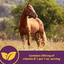 farnam-horse-health-vita-b-1-crumbles-su-4.jpg