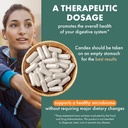 pure-essence-candex-supplement---yeast-o-4.jpg