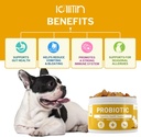 probiotics-for-dogs---support-gut-digest-2.jpg