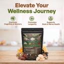 go-nutra---organic-7-mushroom-supplement-2.jpg