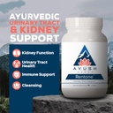 ayush-herbs-rentone---kidney-support-sup-2.jpg