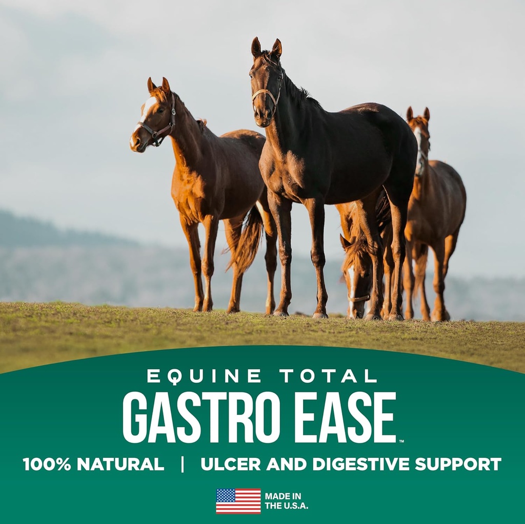 equine-total-gastro-ease-all-natural-ulc-2.jpg