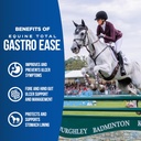 equine-total-gastro-ease-all-natural-ulc-3.jpg