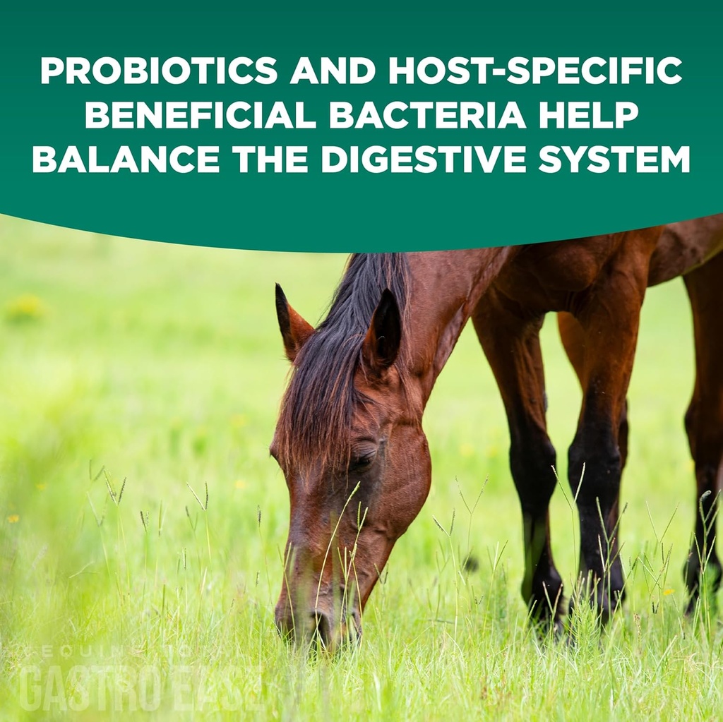 equine-total-gastro-ease-all-natural-ulc-6.jpg