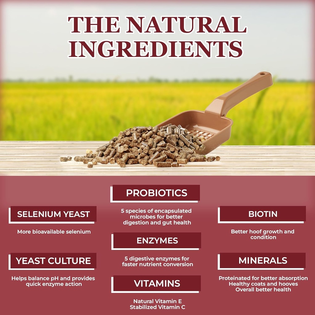 equerrys-choice-horse-pellets---complete-4.jpg