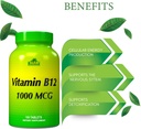 alfa-vitamins-vitamin-b12-1000-mcg-100-t-3.jpg