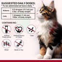 iron-supplements-for-cats-60ml-liquid-ir-6.jpg