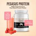 only-4-ingredients---no-stevia-no-monk-f-2.jpg