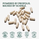 beekeepers-naturals-complete-gut-health--3.jpg