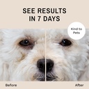 eye-envy-dog-tear-stain-remover-starter--5.jpg