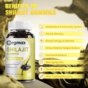 shilajit-pure-himalayan-organic-shilajit-5.jpg