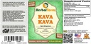 kava-kava-piper-methysticum-glycerite-dr-2.jpg