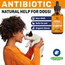 dog-antibiotics-for-infections-allergies-6.jpg