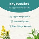echinacea-root-tincture---immune-system--3.jpg