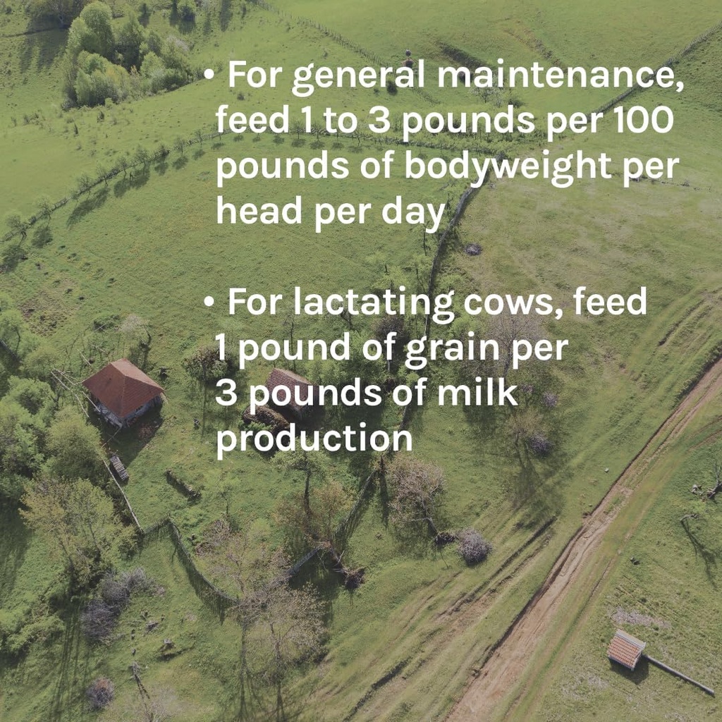 new-country-organics-cattle-feed-for-dai-6.jpg